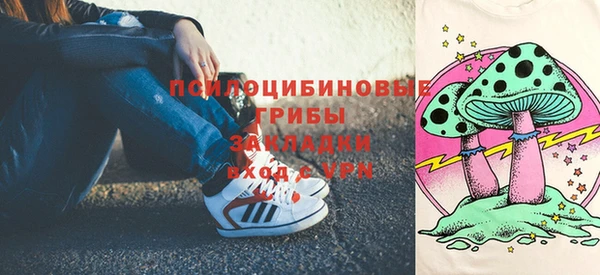 стаф Мегион