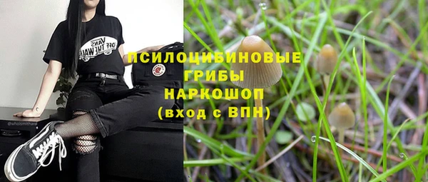 стаф Мегион