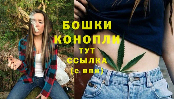 стаф Мегион