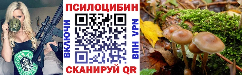 Псилоцибиновые грибы MAGIC MUSHROOMS  купить закладку  KRAKEN ТОР  Старица 